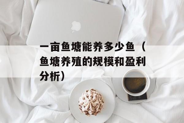 一亩鱼塘能养多少鱼（鱼塘养殖的规模和盈利分析）-第1张图片-