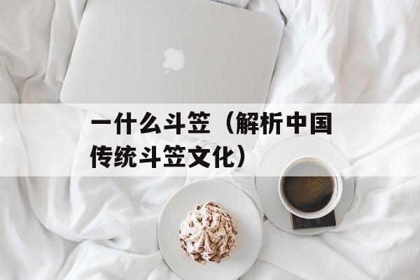 一什么斗笠（解析中国传统斗笠文化）-第1张图片-