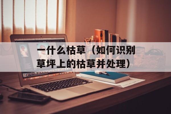 一什么枯草（如何识别草坪上的枯草并处理）-第1张图片-