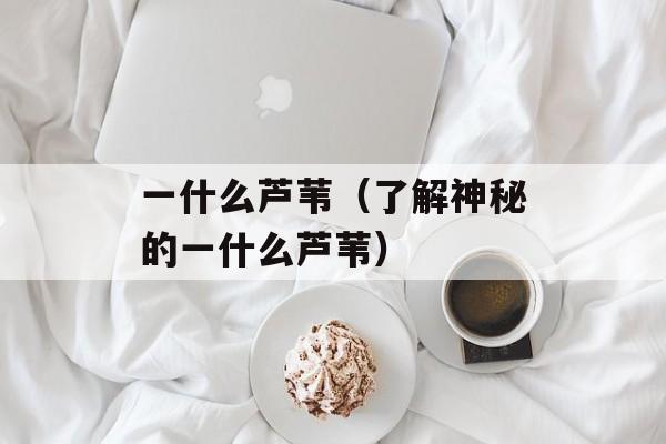 一什么芦苇（了解神秘的一什么芦苇）-第1张图片-