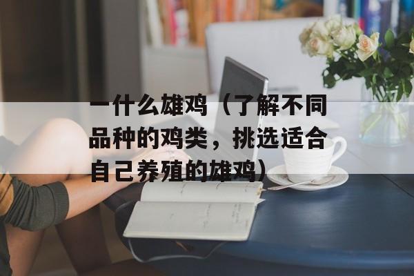 一什么雄鸡（了解不同品种的鸡类，挑选适合自己养殖的雄鸡）-第1张图片-