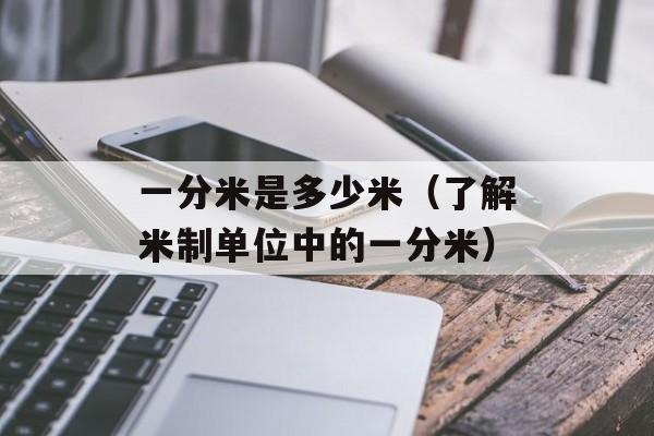 一分米是多少米（了解米制单位中的一分米）-第1张图片-