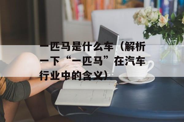 一匹马是什么车（解析一下“一匹马”在汽车行业中的含义）-第1张图片-
