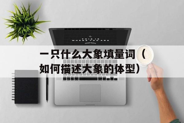 一只什么大象填量词（如何描述大象的体型）-第1张图片-