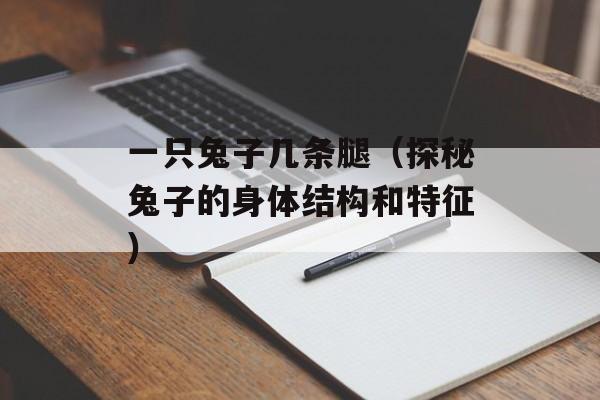 一只兔子几条腿（探秘兔子的身体结构和特征）-第1张图片-