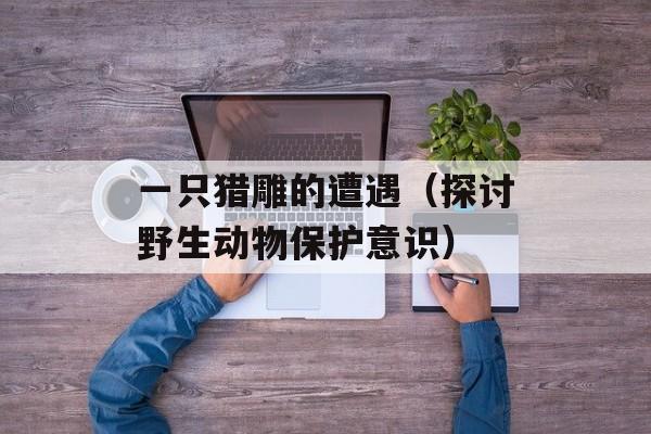 一只猎雕的遭遇（探讨野生动物保护意识）-第1张图片-