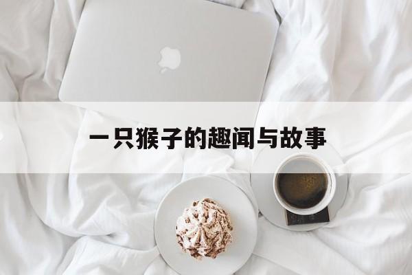 一只猴子的趣闻与故事-第1张图片-